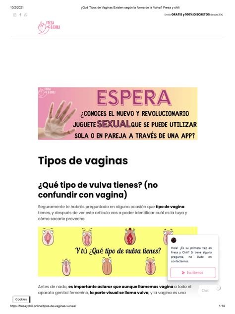 Los 8 tipos de vagina (dependiendo de la forma de la vulva)